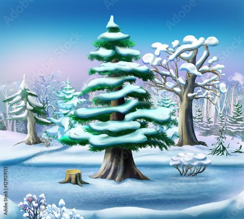 Snow-covered Pine Tree in a Winter Forest