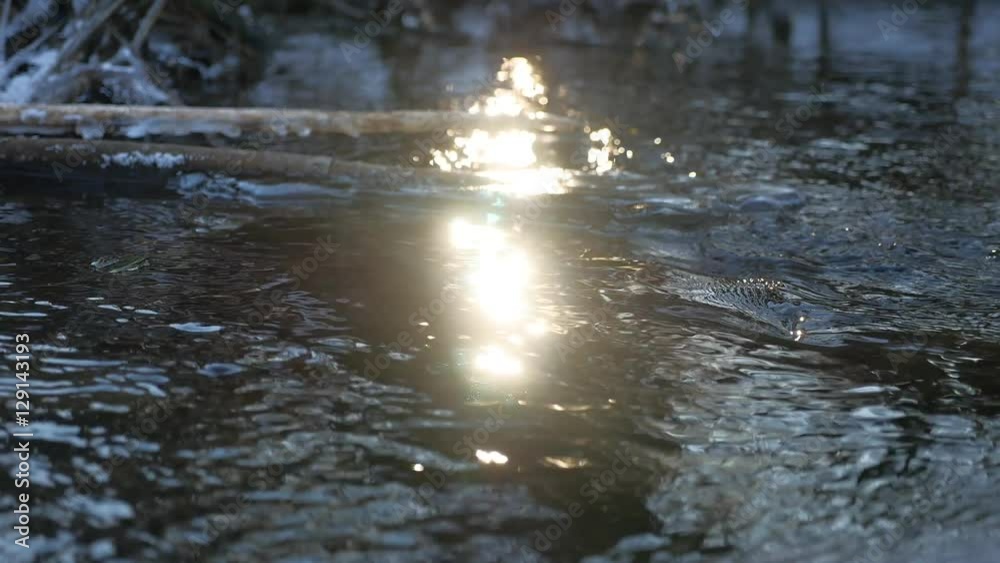 Forest river flowing beautiful frozen ice on a dry branch swinging, sunlight, nature sun glare landscape Forest river flowing beautiful frozen ice on a dry branch swinging, sunlight, nature sun glare landscape