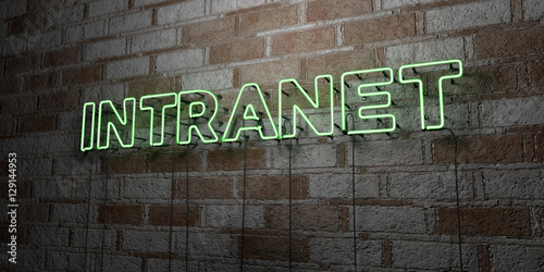INTRANET - Glowing Neon Sign on stonework wall - 3D rendered royalty free stock illustration.  Can be used for online banner ads and direct mailers.. photo