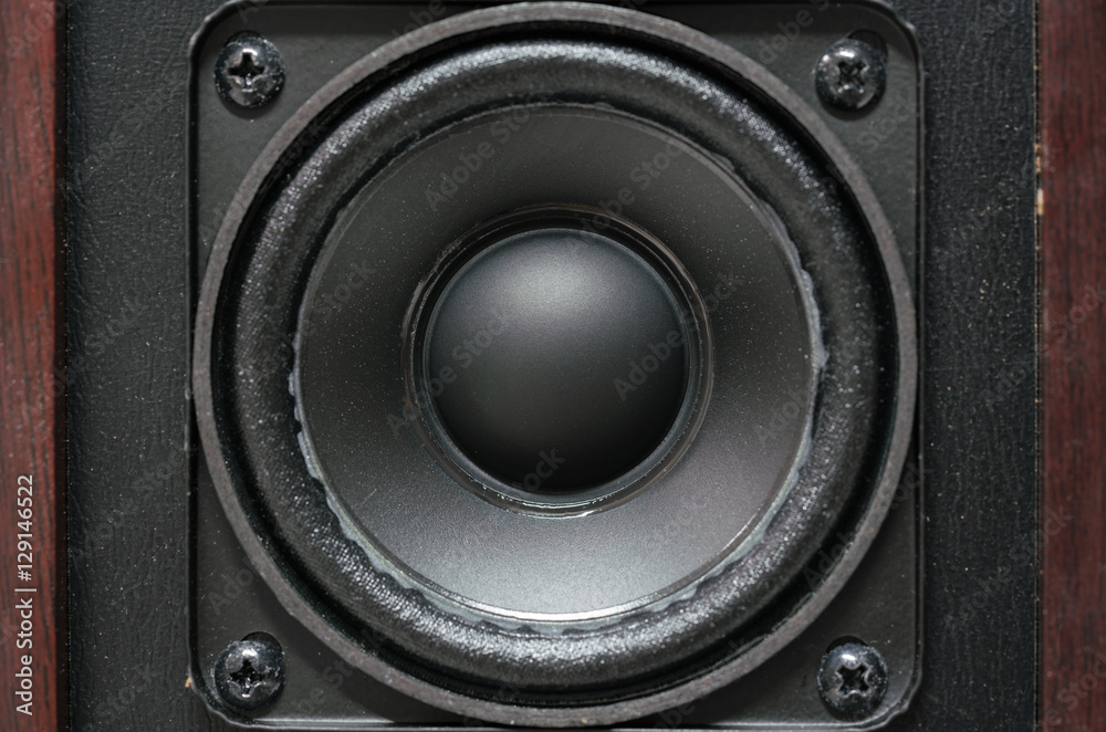 Dark Energy audio speaker - Close up view of wooden audio speaker
Dark Energy audio speaker - Close up view of wooden audio speaker