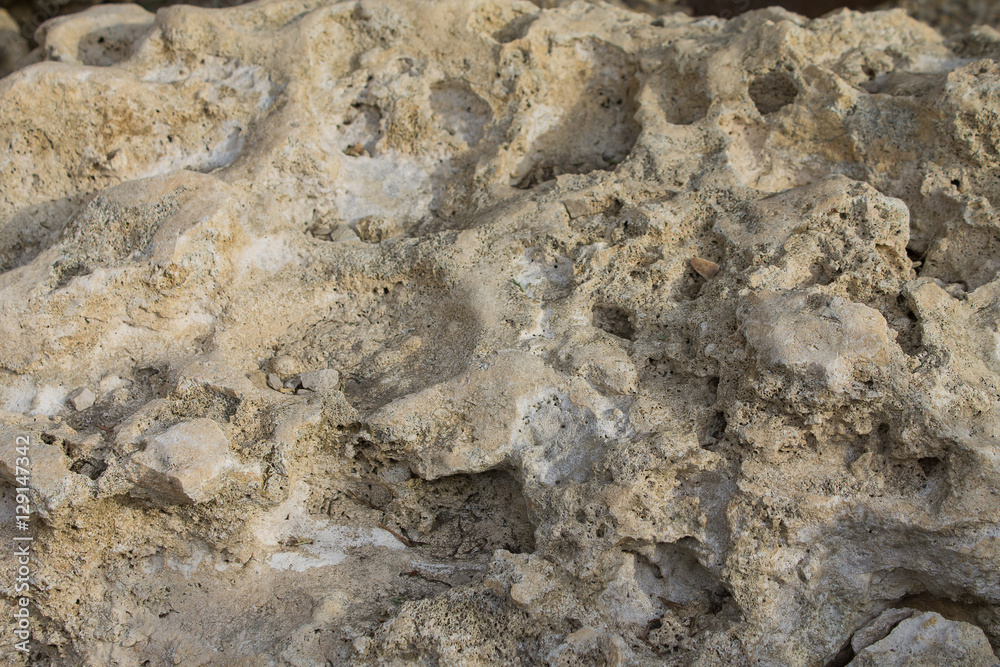 texture stone of sandstone texture stone of sandstone