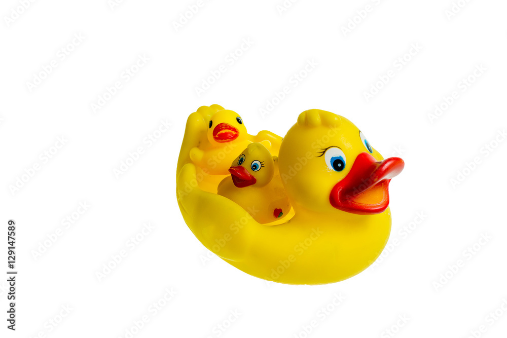 Cute yellow rubber duck isolated over white background. The family of ...