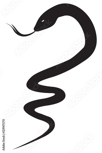 Curled Up Snake