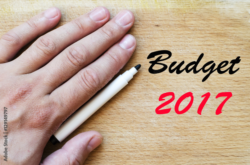 Budget 2017 text concept