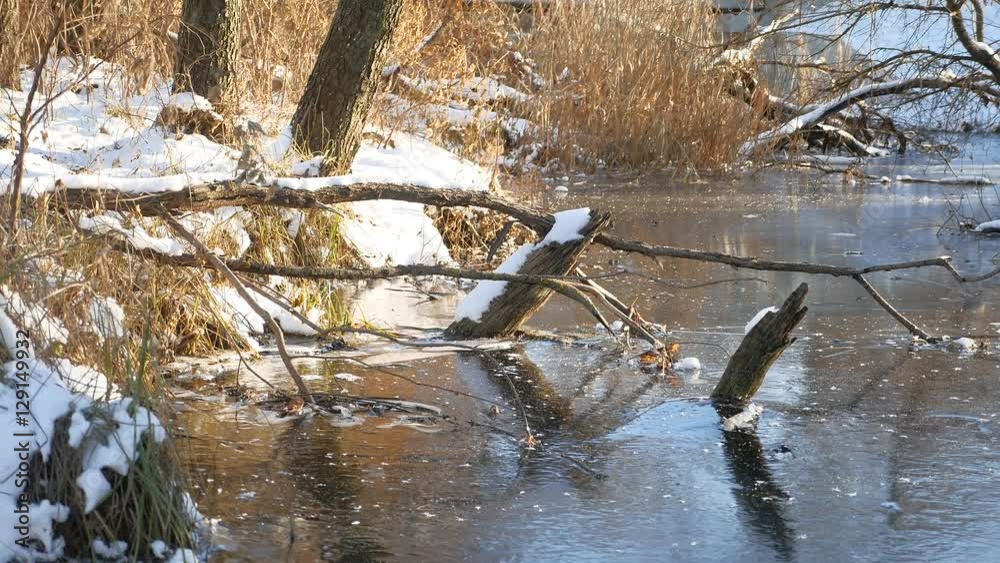 winter landscape River in forest frozen water nature ice winter landscape River in forest frozen water nature ice