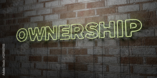 OWNERSHIP - Glowing Neon Sign on stonework wall - 3D rendered royalty free stock illustration.  Can be used for online banner ads and direct mailers..