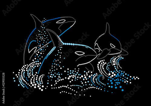 Killer whales