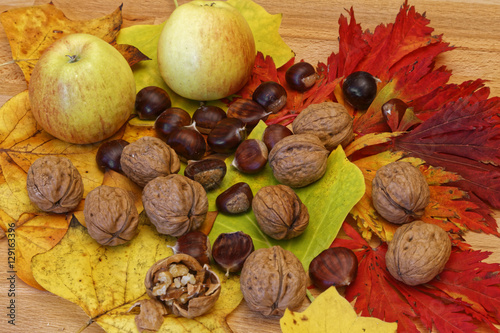fruits of autumn photo