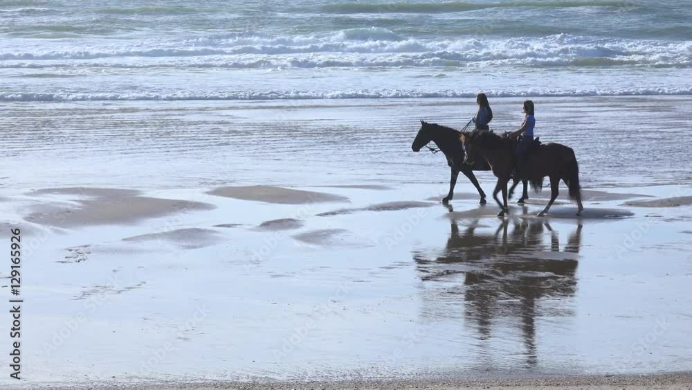 Horses riding on the beach at sunset Horses riding on the beach at sunset