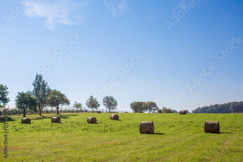 Wiese mit Strohballen photo