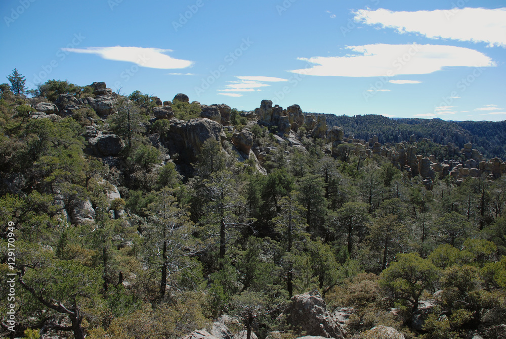Chiricahua National Monument at sunny day