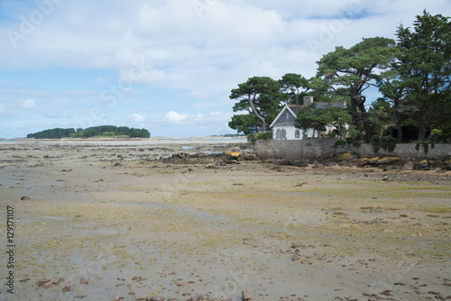 Küste mit Haus und Bäumen,  Trebeurden, Bretagne, Frankreich photo