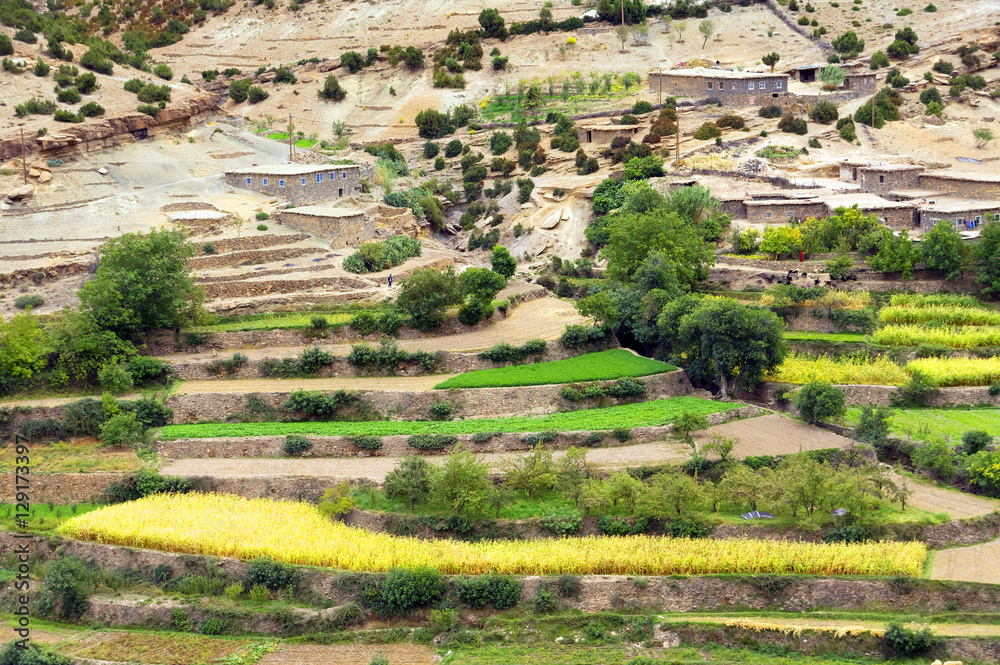 Agriculture in Atlas Mountains. Morocco, Africa