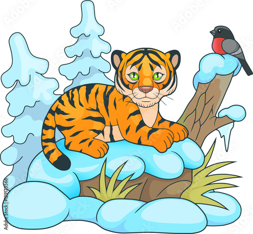 Fototapeta Naklejka Na Ścianę i Meble -  cute little tiger lying in the snow and looking at him birdie
