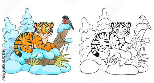 Fototapeta Naklejka Na Ścianę i Meble -  cute little tiger lying in the snow and looking at him birdie
