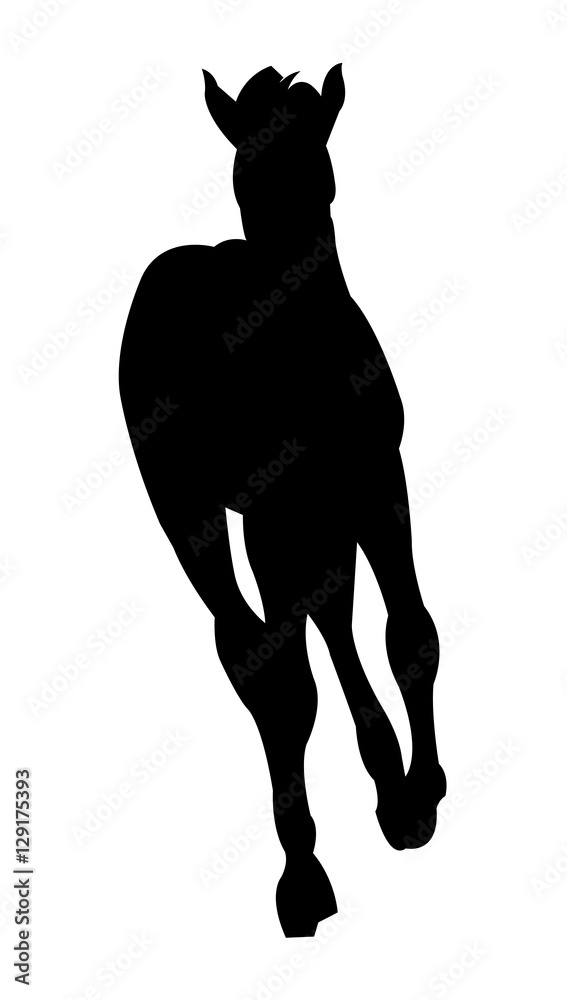 Fototapeta premium Running Foal Silhouette on White Background