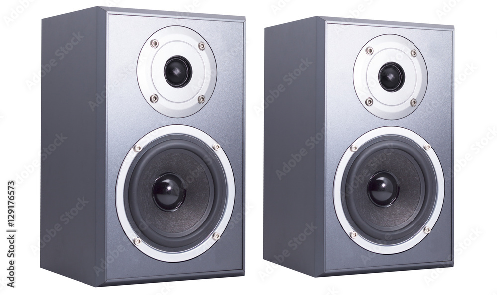 Fototapeta premium music speaker view isolated on white background