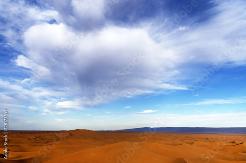 Sand dunes in Sahara Desert  Africa