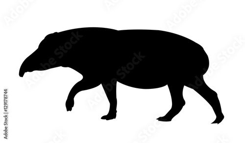 Tapir Silhouette on White Background