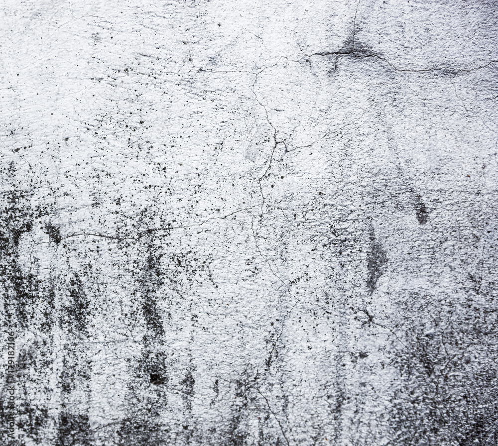 Obraz premium Whitewashed wall with rich and various texture