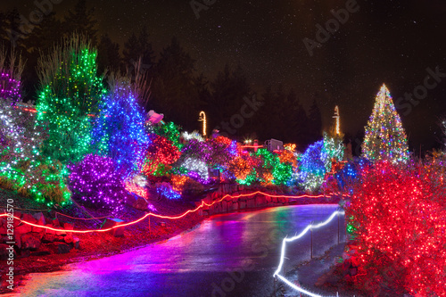 Zoolights at the Point Defiance Zoo in Tacoma, WA photo
