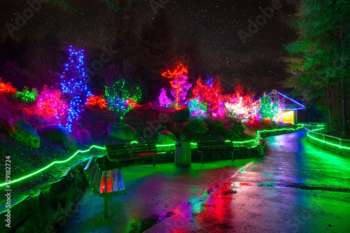 Zoolights at the Point Defiance Zoo in Tacoma, WA photo