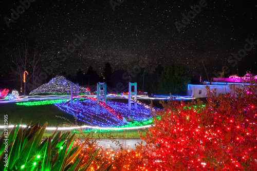 Zoolights at the Point Defiance Zoo in Tacoma, WA photo