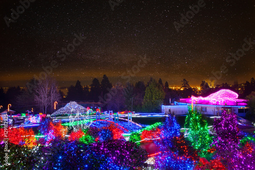 Fototapeta Naklejka Na Ścianę i Meble -  Octopus Light Display at Zoolights