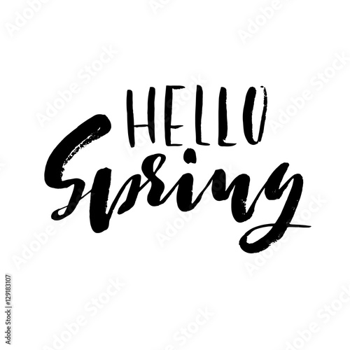 Hand lettered style spring design on a white background. Hello spring hand drawn calligraphy letters. Vector illustration.