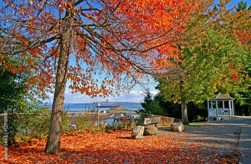 Картината върху платно Point Defiance Park in Tacoma WA with red and orange leaves