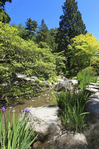 TACOMA,WA - JUNE 12, 2010: Japanese Garden in Seattle, WA. Stones with irises and pond photo