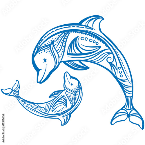 Two dolphins
