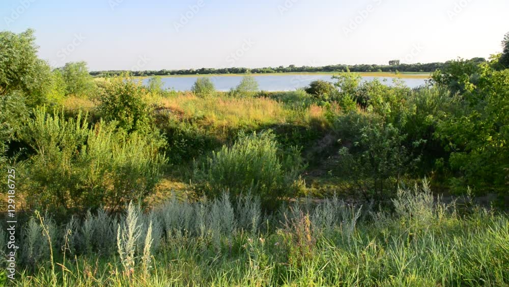 Nature of central Russia - forest steppe Nature of central Russia - forest steppe