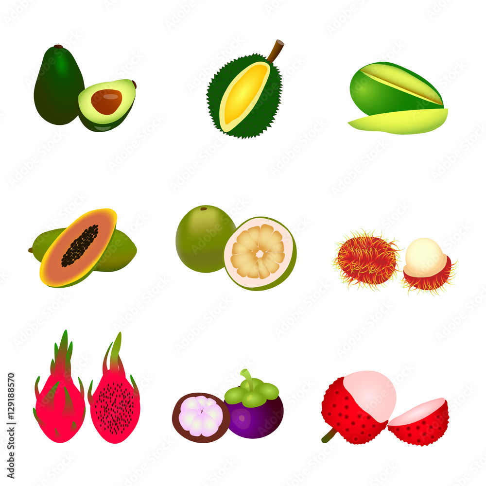 Set of different tropic fruits vector illustration. avocado, mangosteen