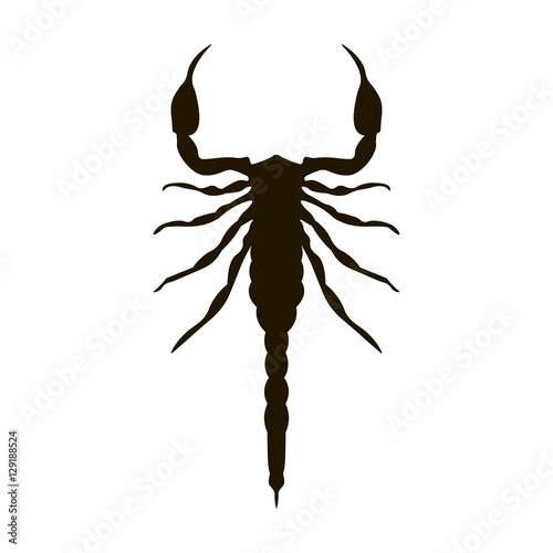 Scorpion vector illustration isolated on a white background