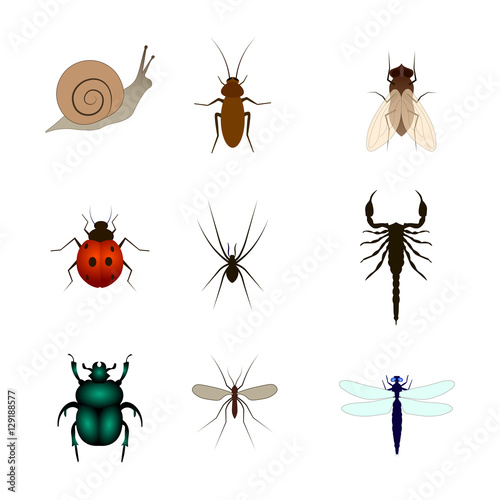 Set of different insects vector illustration. scorpion, fly, spider, snail, beetle, mosquito, butterfly, dragonfly, cockroach