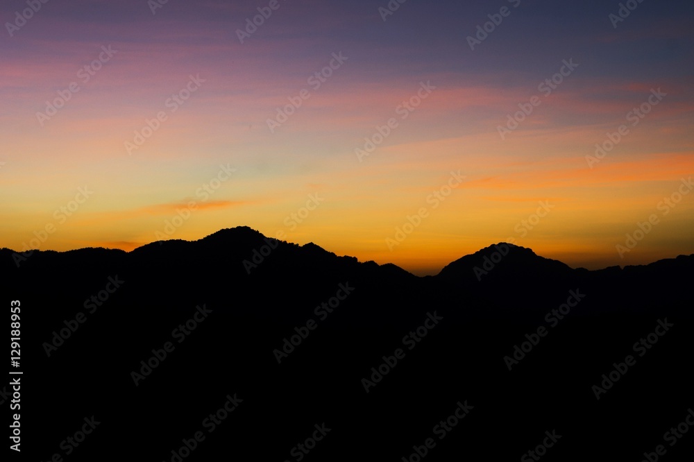 Beautiful silhouette landscape at night on a meadow on early winter Beautiful silhouette landscape at night on a meadow on early winter