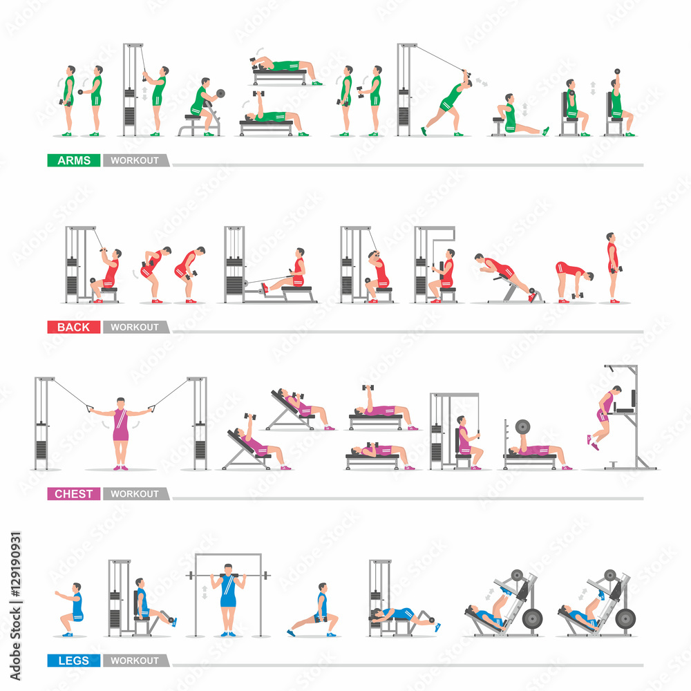 Vetor do Stock: set Workout in gym for the arms, legs, back, chest