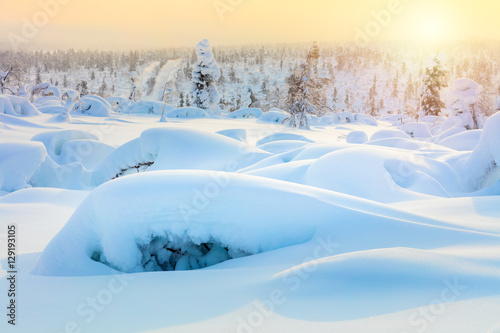 Amazing Arctic winter landscape © Taiga