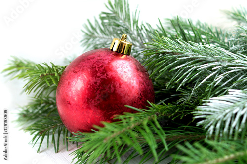 Red christmas ball and fir branch on white background