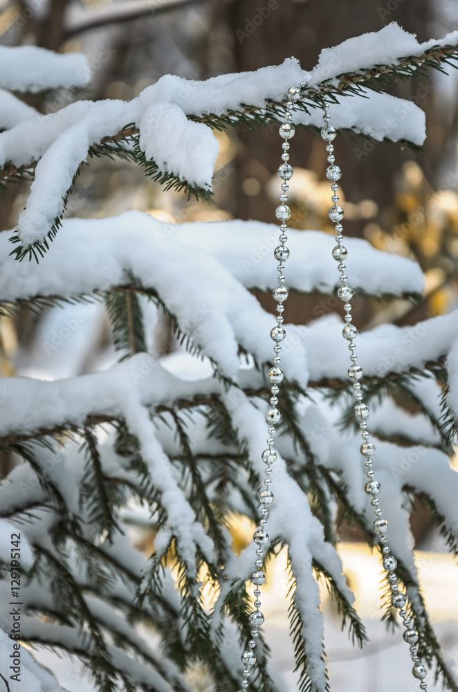 Serebnyannye beads on a snow-covered tree