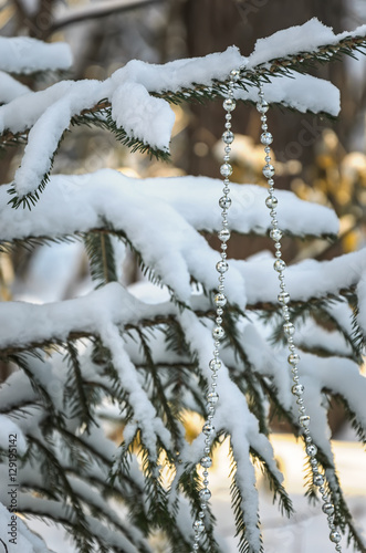Serebnyannye beads on a snow-covered tree © Elena