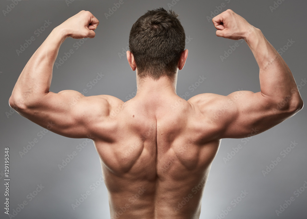 Bodybuilder back muscles Bodybuilder back muscles
