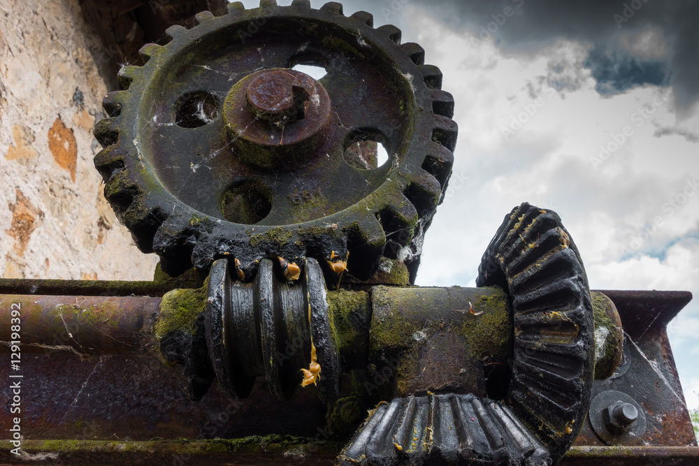 Old and rusty gear in the sunlight