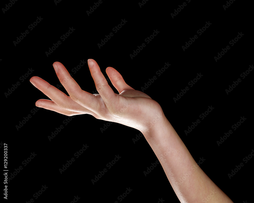 Fototapeta premium 3d render of a female hand isolated on white