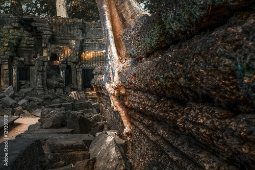 Angkor, dettagli delle mura del Ta Phrom.