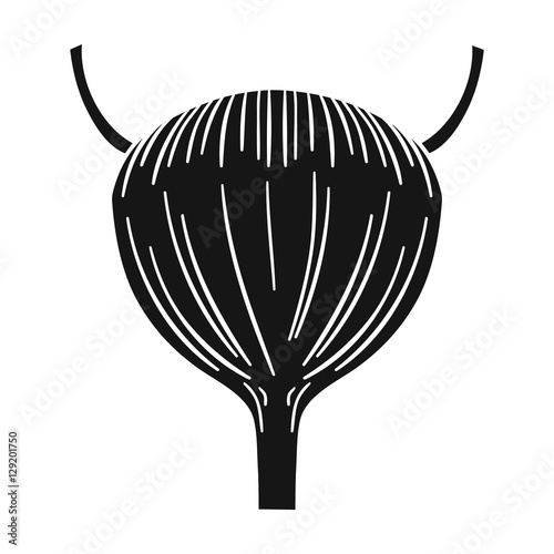 Human urinary bladder icon in black style isolated on white background. Human organs symbol stock vector illustration.