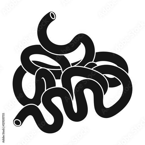 Human small intestine icon in black style isolated on white background. Human organs symbol stock vector illustration.