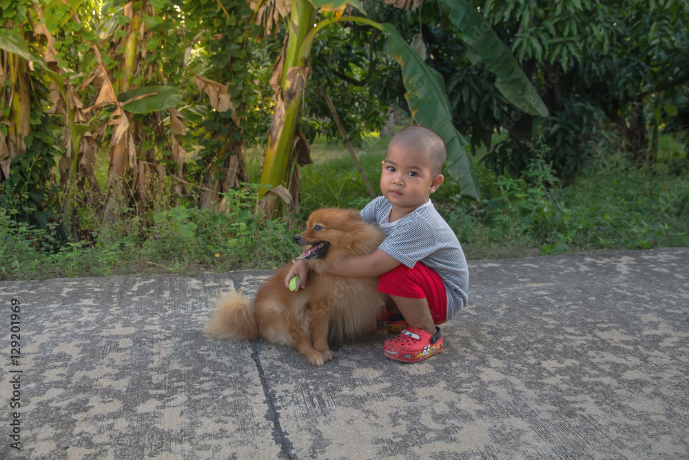 Little boy playing with beauty dog his friend,young asian childr Little boy playing with beauty dog his friend,young asian childr