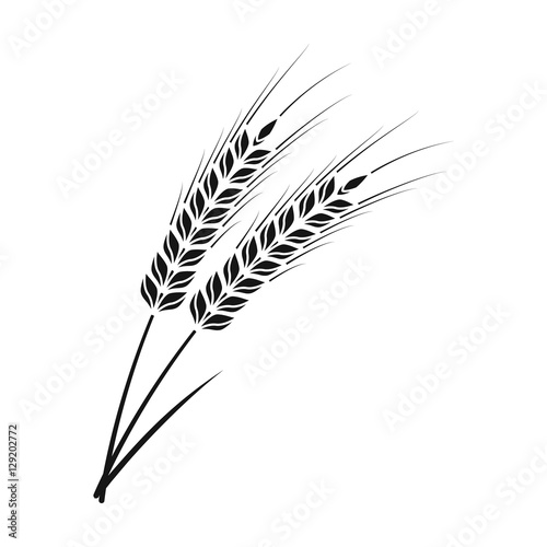 Ears of wheat pasta icon in black style isolated on white background. Types of pasta symbol stock vector illustration.